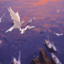 Coastal Flock