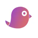 NFT Birdies