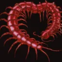 Higanbana | ヒガンバナ