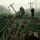 Roadside Picnic