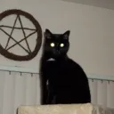 El Culto de Min