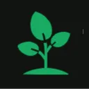 Sapling Studios