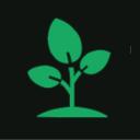 Sapling Studios icon