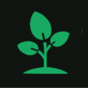 Sapling Studios icon