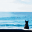 Discovery icon for Sailors ‹3 | Chill . Hangout . Fun . Social . Active . Music . Gaming Discord server