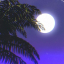 𝙽𝚒𝚐𝚑𝚝 𝙿𝚊𝚛𝚊𝚍𝚒𝚜𝚎 🌴