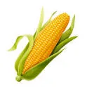 The Communist Corn Tavern