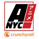 VCosANYC