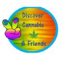 Discover Cannabis & Friends