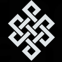 S A P I E N S icon