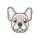What The Frenchie?!?