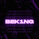 Berkan Family's    Discord Server Icon