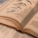 🍂 ; Library Of Feelings