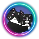 The Dapper MeowMeow Club