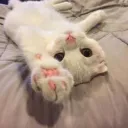 ^-^