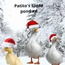 Duck's pond :)