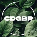 Call of Duty®: Games Brasil