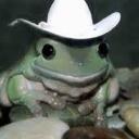Frog Meisters 69 Discord Server Icon