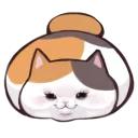 fat cat coterie ♥