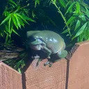 The Frogmen