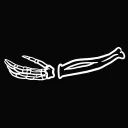 Bones