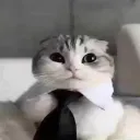 ꧁⎝ 𓆩༺✧༻𓆪 ⎠꧂ZXC_BEBRIKI꧁⎝ 𓆩༺✧༻𓆪 ⎠꧂