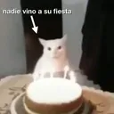 Los papulitos :v