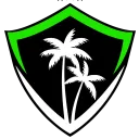 VIBE Esports