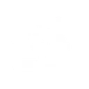 "ABC" Art of Bonsai Club @ Purdue
