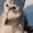 Kühle Kinder Discord Server Icon