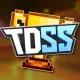 TDS Speedrunning