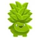 Broot DAO