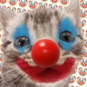 🤡ClownCat😺