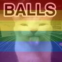 Cat Cottage Discord Server Icon