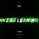 Drowziee Leaking Inc.