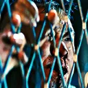 헬로,               𝗁𝖺𝗅𝗈 Discord Server Icon