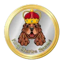 King Charles Spaniel