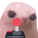 BINGUS DINGUS