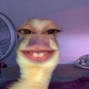 The Munchy Clan     Discord Server Icon