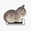 Chat Cafe | Anime · Art · Chill · Social