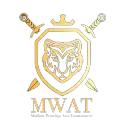 Modern Warship Asia Tournament
