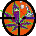 Dank Squad Stream Team