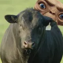 Bullet Dubbings
