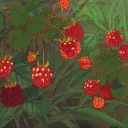 The Berry Patch