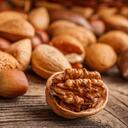 Nutshell - Endless Nuts Discord Server Icon