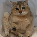 Discovery icon for lesbian hangout Discord server