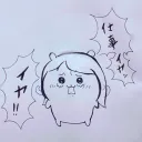 クロ菜のイカちゃん部屋