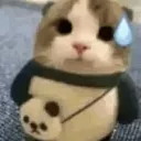 The Bufoon Club