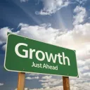 The Growth Investor