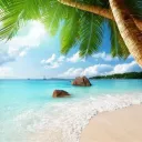 PLEASURE ISLAND 🌴